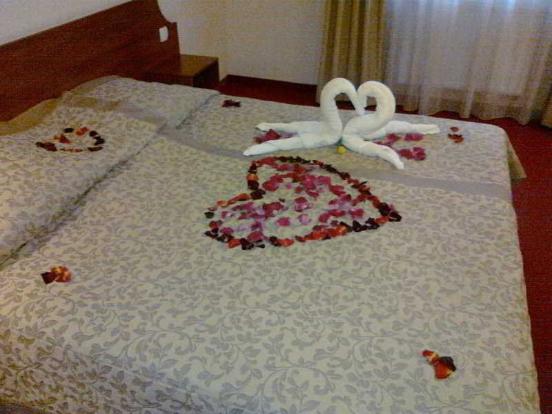 H6 Major Travel & Business, Free Parking 3* Krasków
